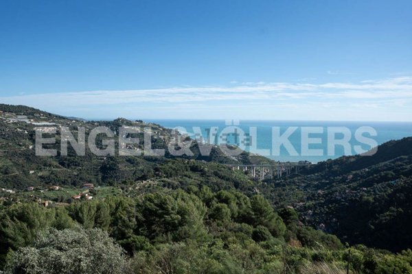 esavano in vendita a Ventimiglia