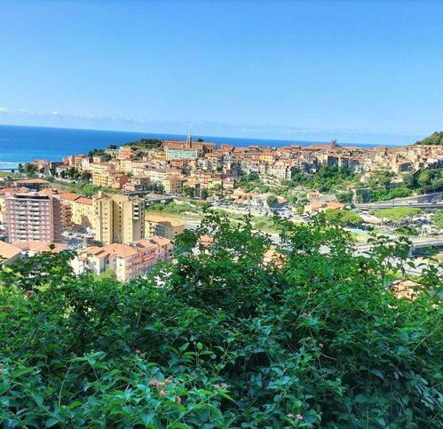 terreno agricolo in vendita a Ventimiglia