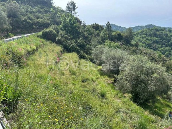 casa indipendente in vendita a Ventimiglia in zona Verrandi