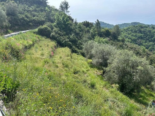 casa indipendente in vendita a Ventimiglia in zona Verrandi