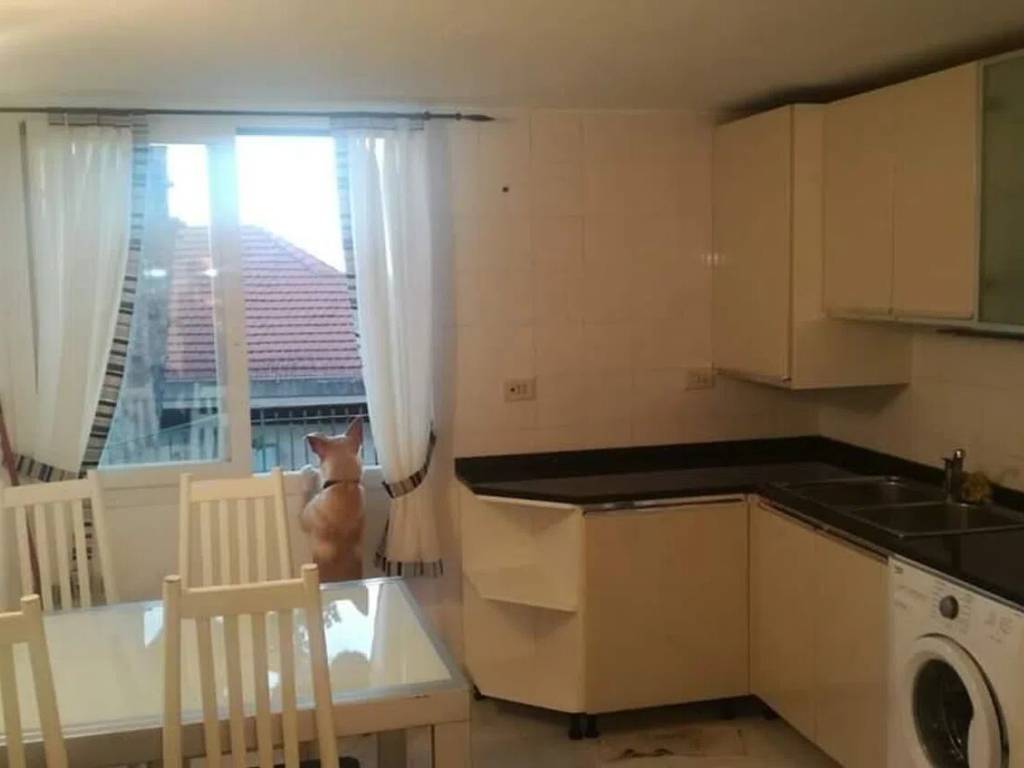 appartamento in vendita a Ventimiglia