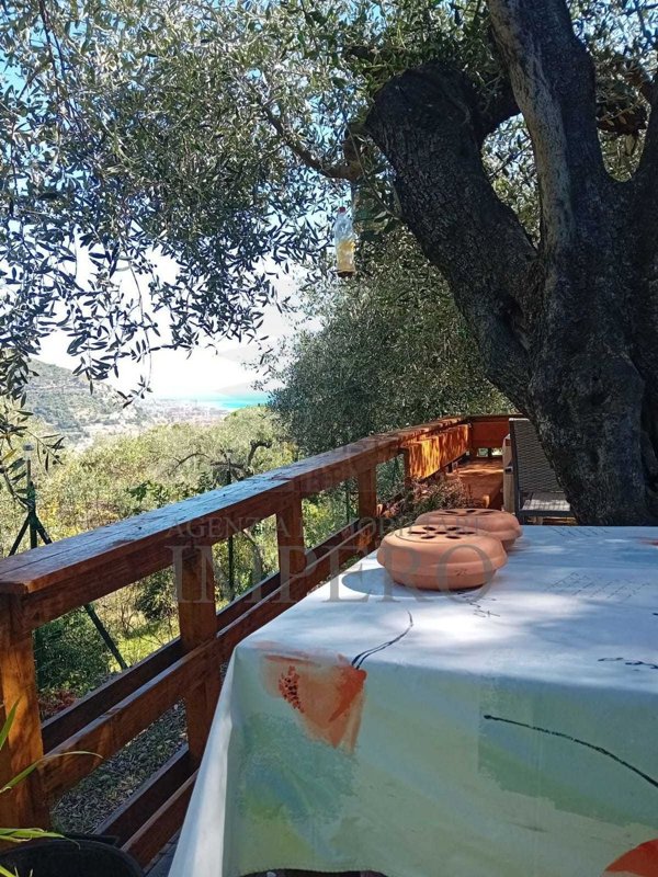 terreno agricolo in vendita a Ventimiglia