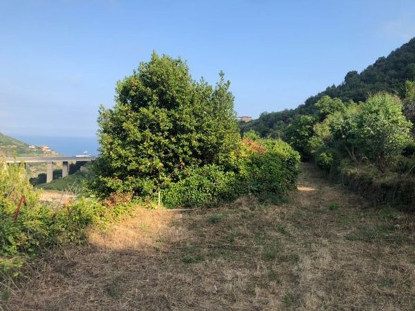 casale in vendita a Ventimiglia