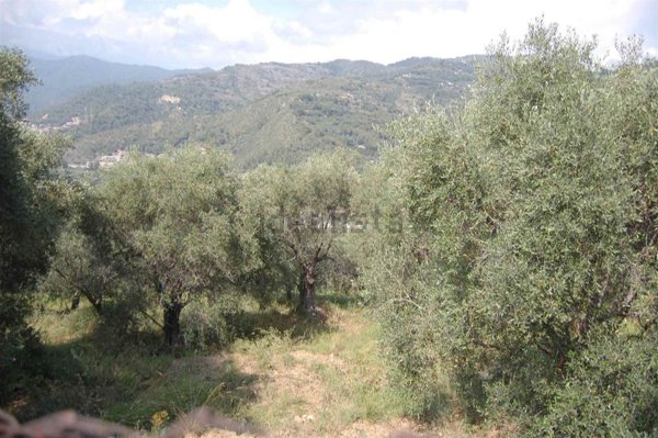 locale di sgombero in vendita a Ventimiglia in zona Seglia / San Bernardo