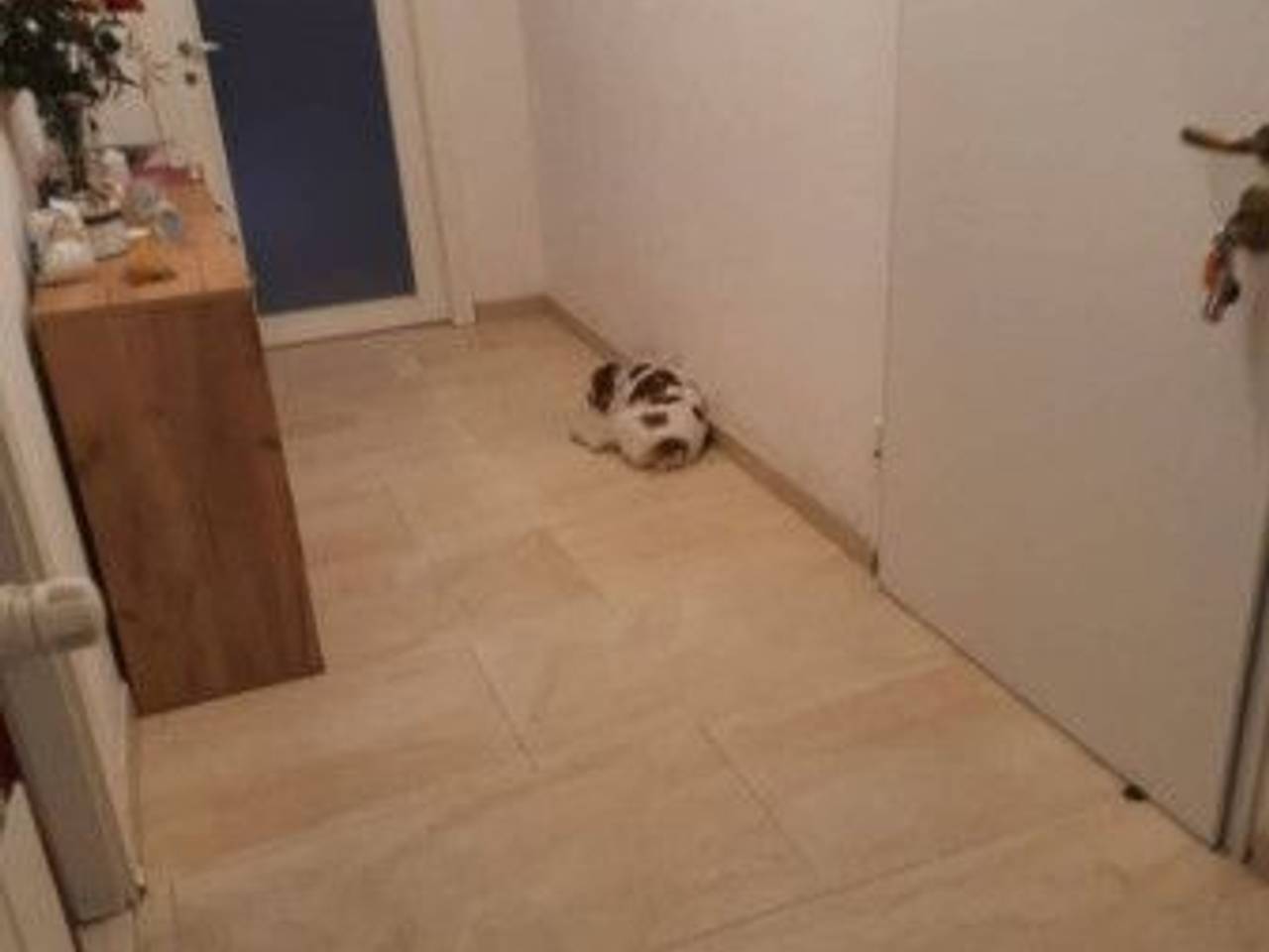 appartamento in vendita a Ventimiglia