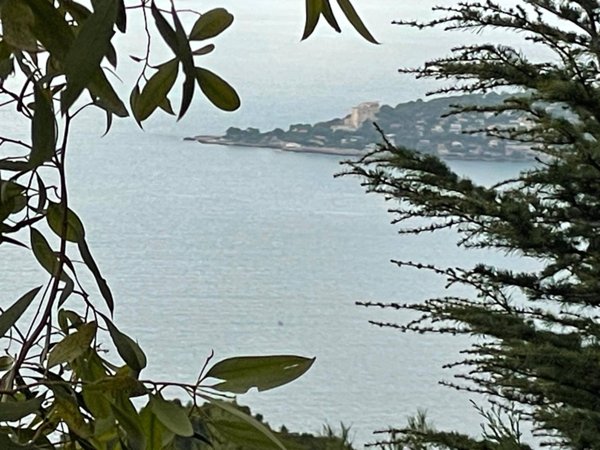 appartamento in vendita a Ventimiglia in zona Mortola Superiore