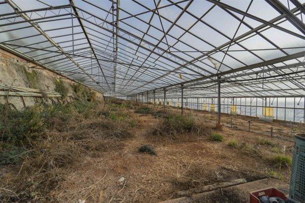 terreno agricolo in vendita a Ventimiglia