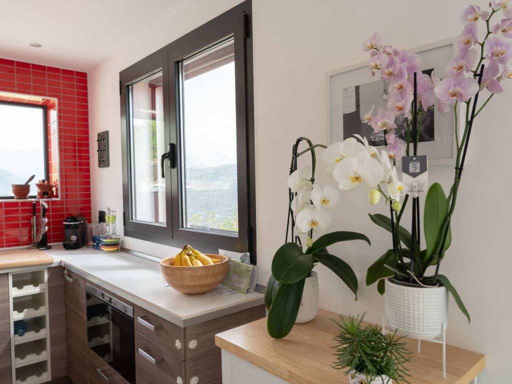 casa indipendente in vendita a Ventimiglia in zona Latte