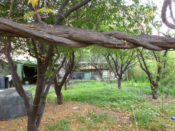 casa indipendente in vendita a Ventimiglia