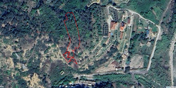 terreno agricolo in vendita a Ventimiglia in zona Calvo