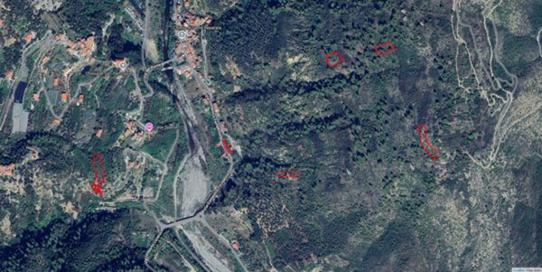 terreno agricolo in vendita a Ventimiglia in zona Calvo