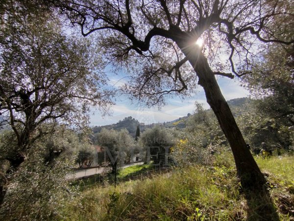 terreno agricolo in vendita a Ventimiglia in zona Sealza