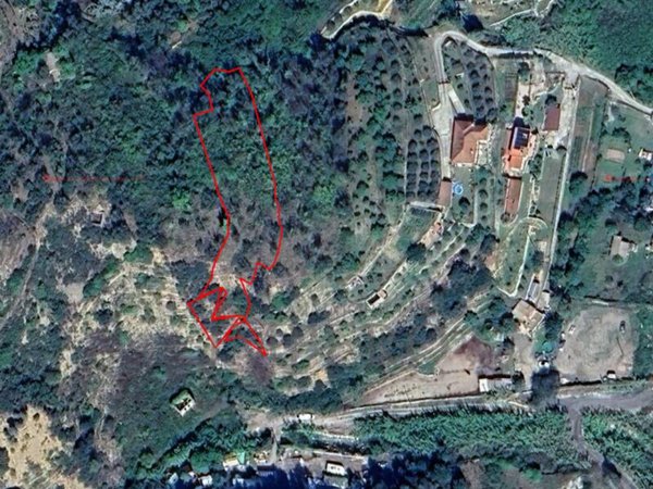 terreno agricolo in vendita a Ventimiglia in zona Calvo