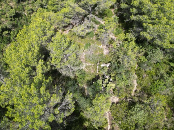 casale in vendita a Ventimiglia in zona Mortola Superiore