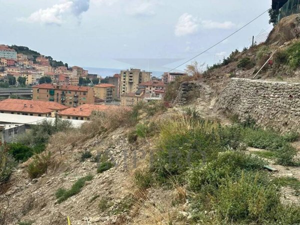 terreno agricolo in vendita a Ventimiglia