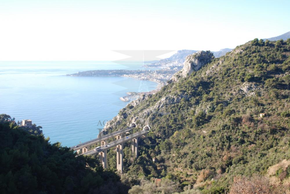 terreno edificabile in vendita a Ventimiglia in zona Mortola Superiore