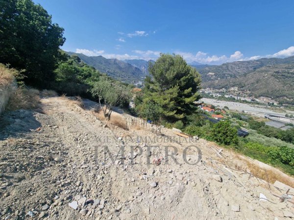 terreno agricolo in vendita a Ventimiglia in zona Seglia / San Bernardo