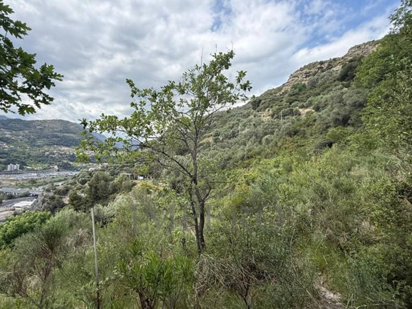 terreno edificabile in vendita a Ventimiglia
