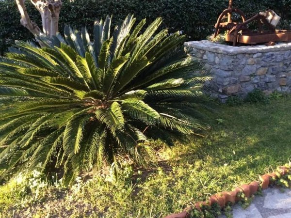 casa indipendente in vendita a Ventimiglia