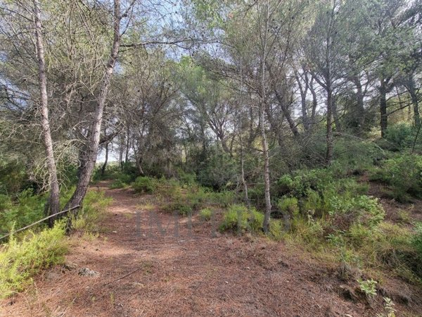 casa indipendente in vendita a Ventimiglia in zona Mortola Superiore
