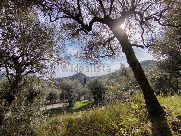 terreno agricolo in vendita a Ventimiglia in zona Sealza