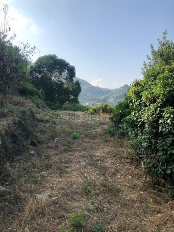 esavano in vendita a Ventimiglia in zona Latte
