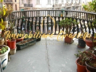 appartamento in vendita a Ventimiglia