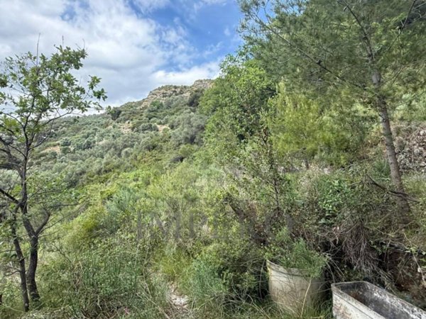 terreno agricolo in vendita a Ventimiglia