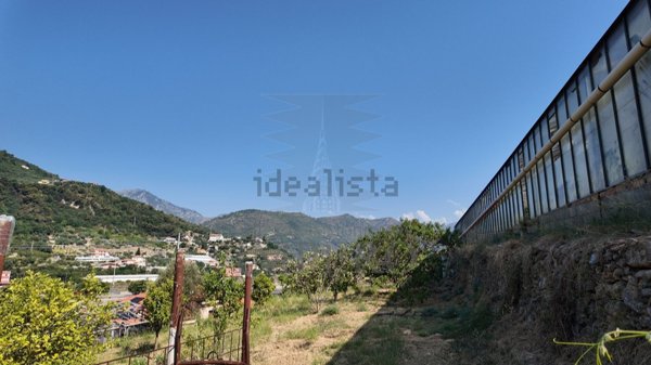 terreno agricolo in vendita a Ventimiglia