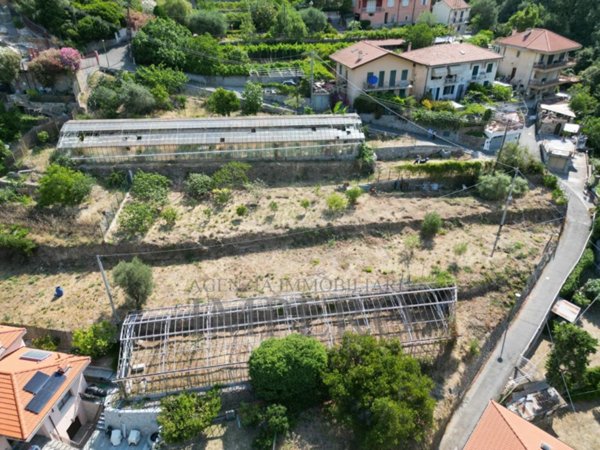 terreno agricolo in vendita a Ventimiglia