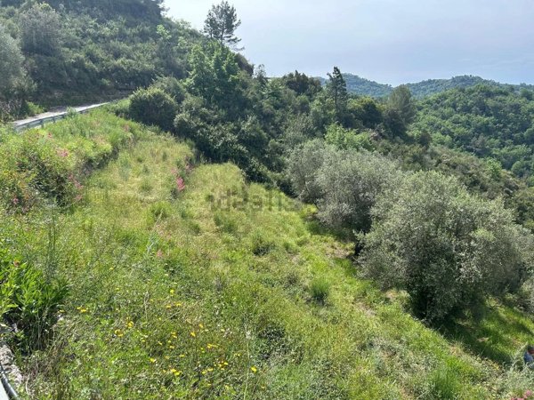 appartamento in vendita a Ventimiglia in zona Verrandi