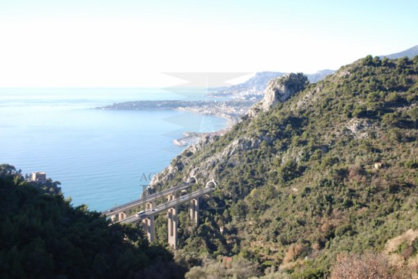 terreno edificabile in vendita a Ventimiglia in zona Mortola Superiore