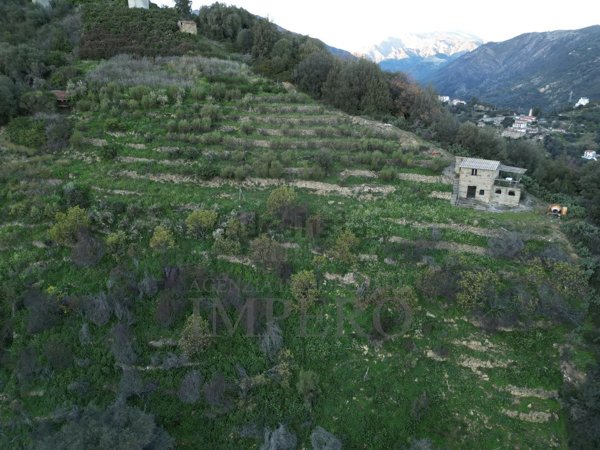 terreno agricolo in vendita a Ventimiglia in zona Sealza