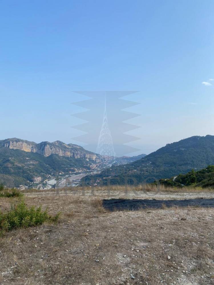 terreno agricolo in vendita a Ventimiglia in zona Bevera