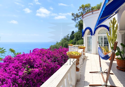 casa indipendente in vendita a Ventimiglia in zona Latte