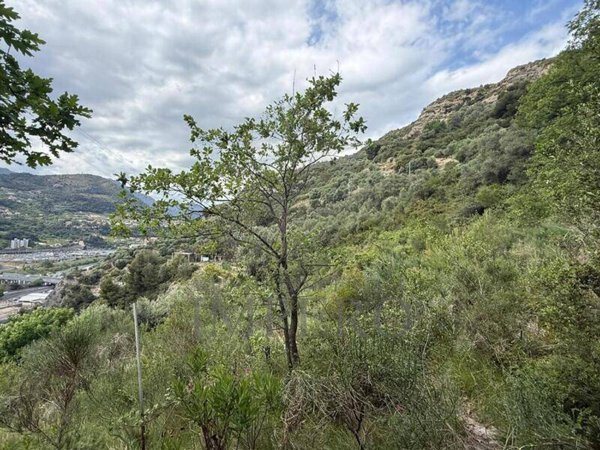 terreno agricolo in vendita a Ventimiglia