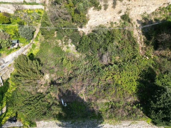terreno agricolo in vendita a Ventimiglia