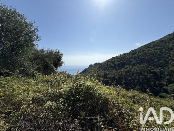 casa indipendente in vendita a Ventimiglia in zona Mortola Superiore