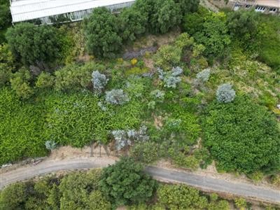terreno agricolo in vendita a Ventimiglia in zona Sealza
