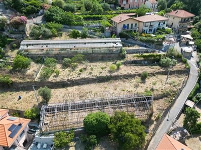 terreno agricolo in vendita a Ventimiglia