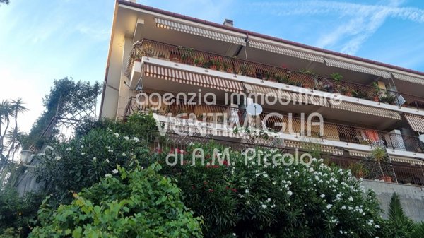 box auto in vendita a Ventimiglia