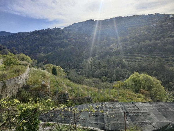 terreno in vendita a Ventimiglia