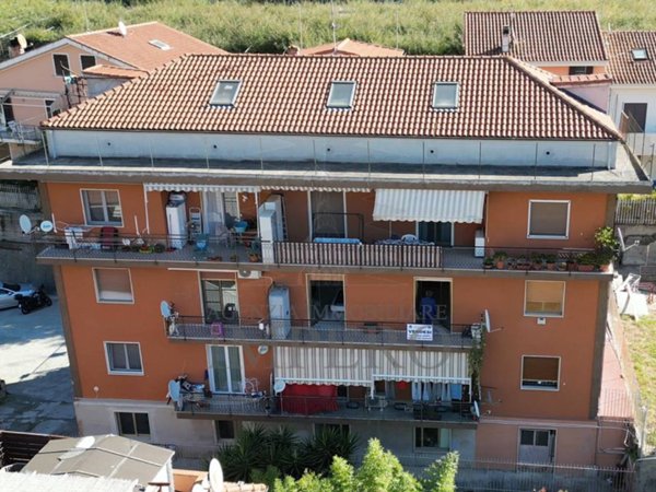 immagine annuncio 0 di 15