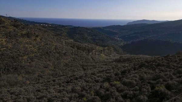 appartamento in vendita a Villa Faraldi
