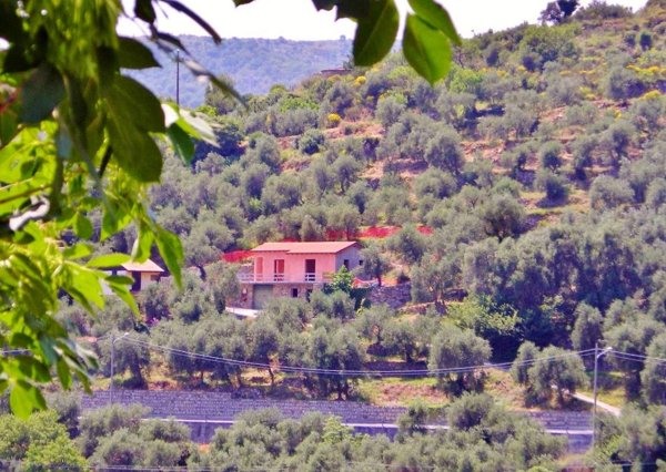 casa indipendente in vendita a Villa Faraldi