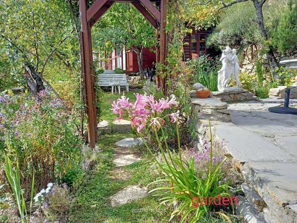 quadrivano in vendita a Montalto Carpasio