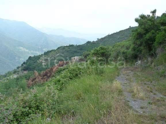 appartamento in vendita a Montalto Carpasio in zona Montalto Ligure