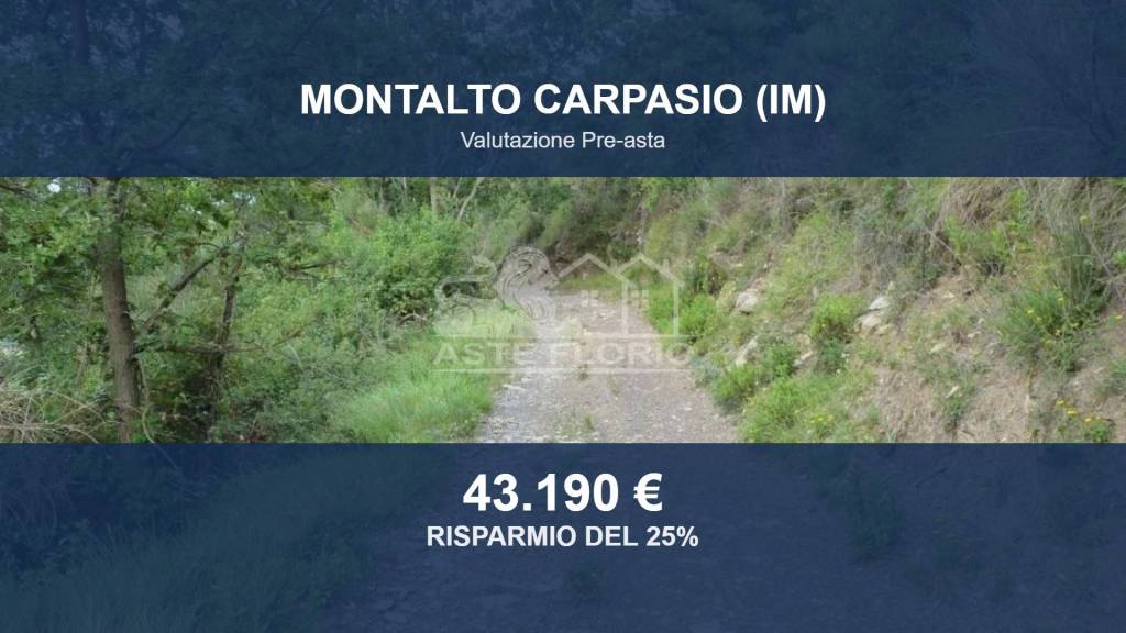 terreno agricolo in vendita a Montalto Carpasio in zona Montalto Ligure