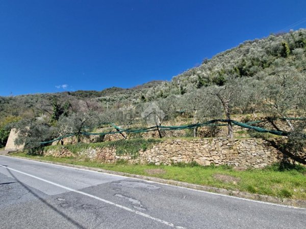 casa indipendente in vendita a Montalto Carpasio