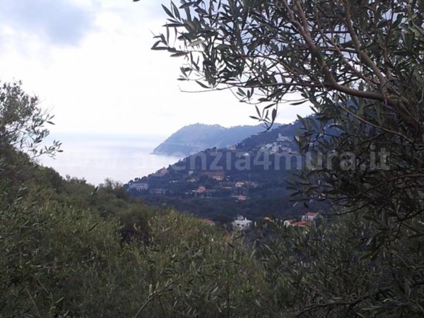 terreno agricolo in vendita ad Alassio
